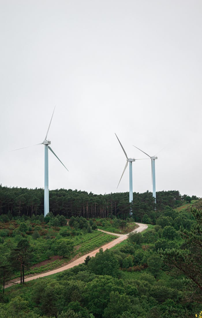 Three wind turbines stand tall in lush green countryside, symbolizing renewable energy.